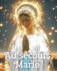 Couverture livre
