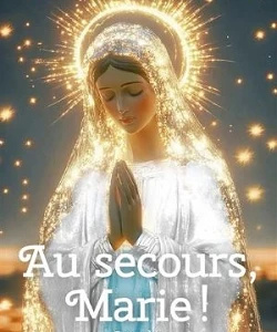 Couverture livre